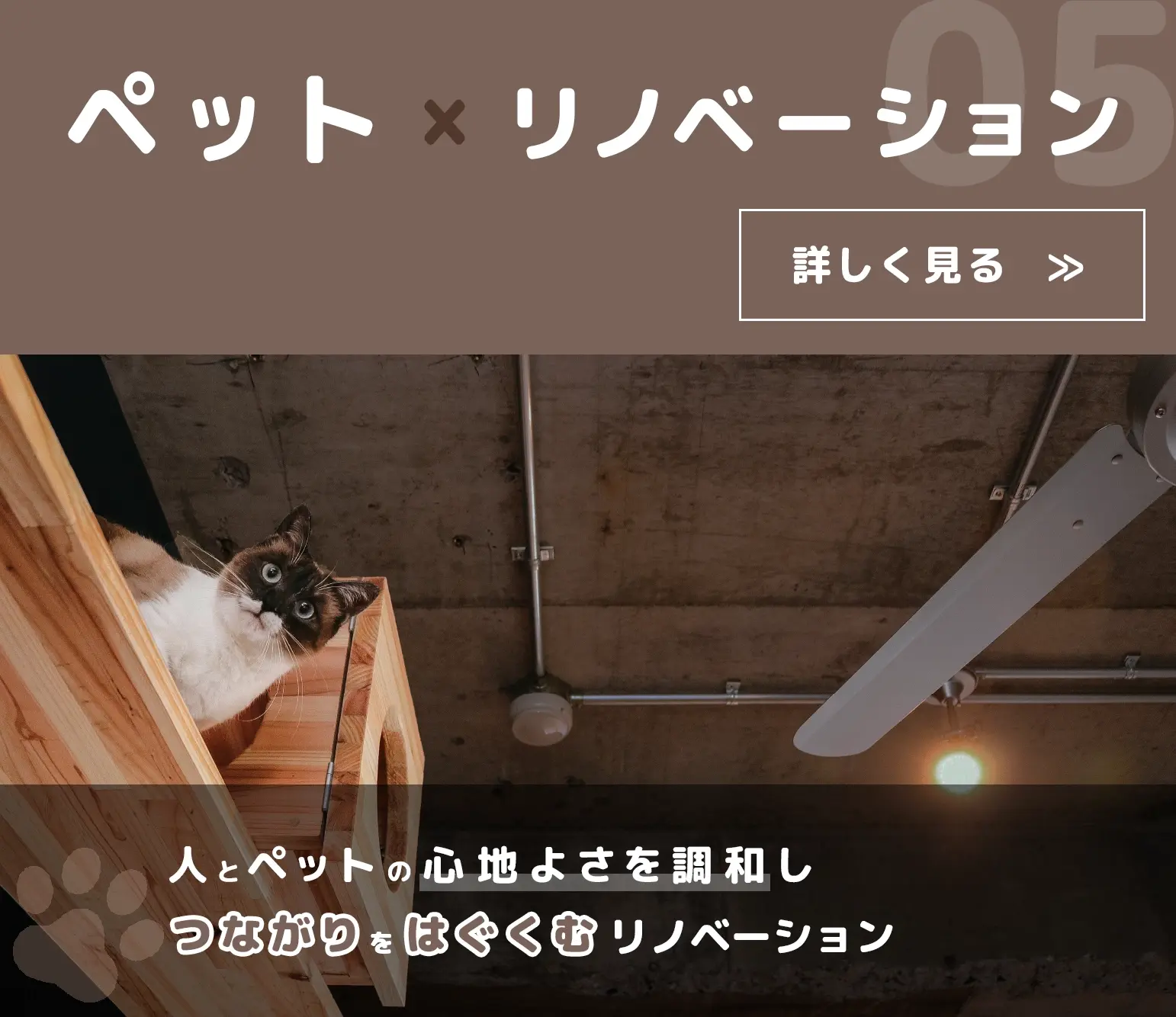 みよし市・東郷町でペットのためのリノベーションなら未来工務店のミラ家計画
